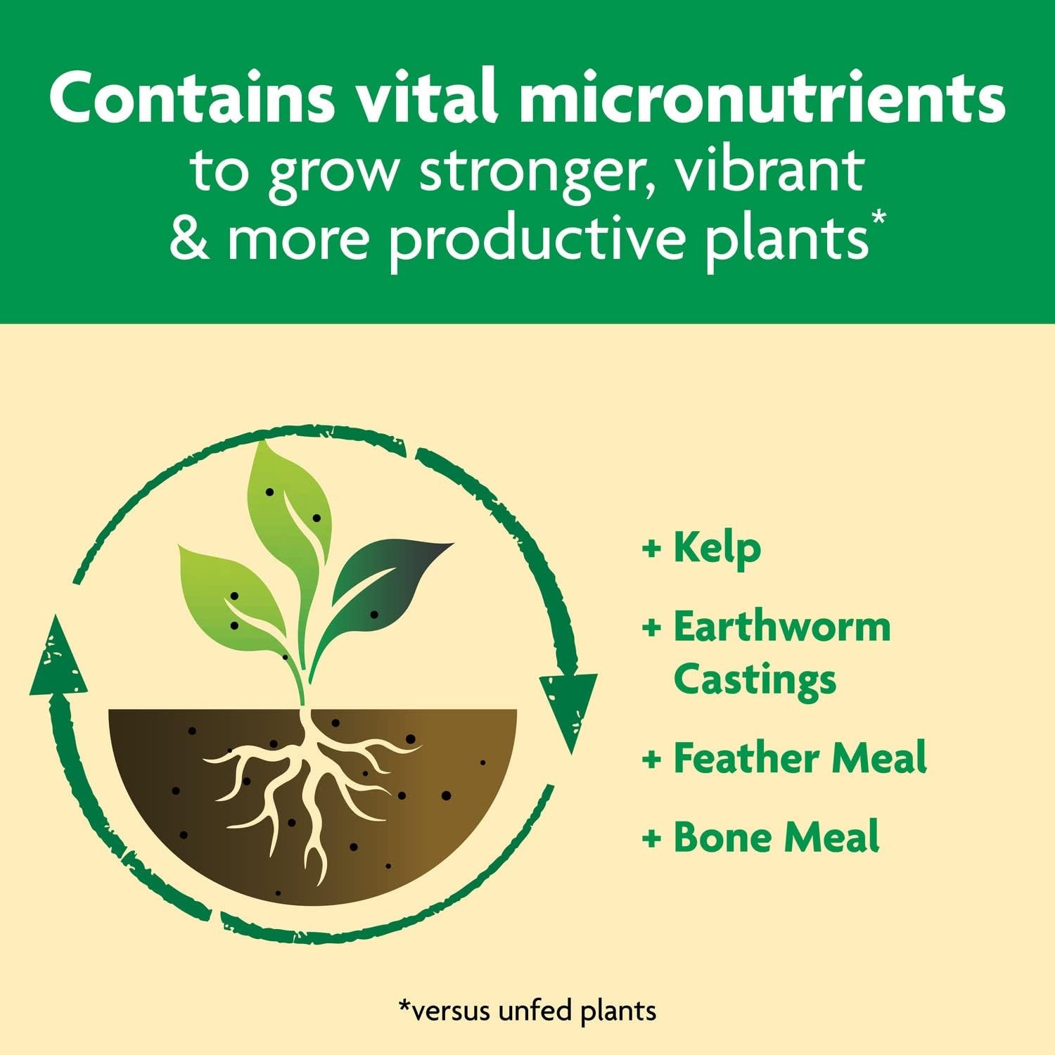 Miracle-Gro Shake ‘N Feed All Purpose Plant Food – Outdoor and Indoor Plant Food