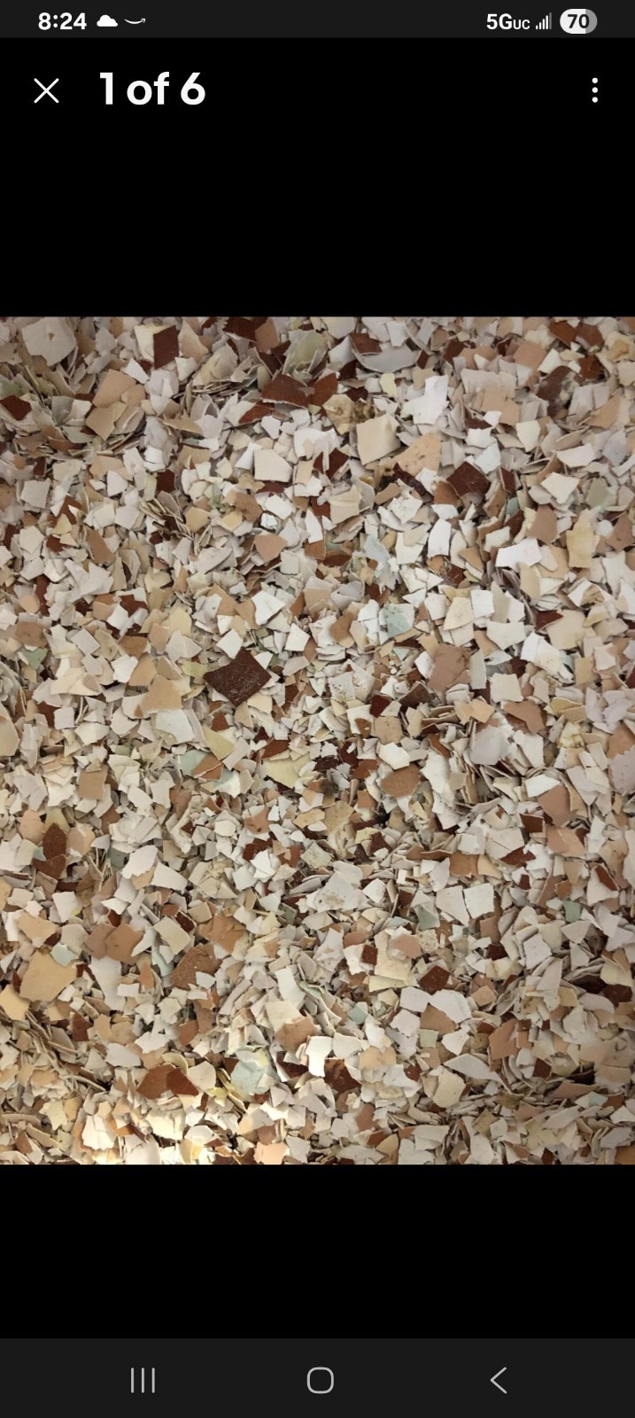 crushed egg shells