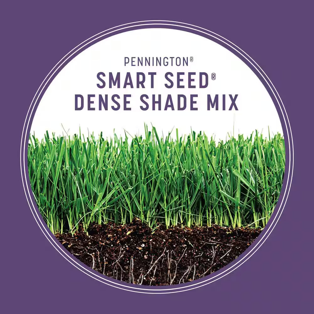 Smart Seed Dense Shade 7Lb. 1,750 Sq. Ft. Grass Seed and Lawn Fertilizer