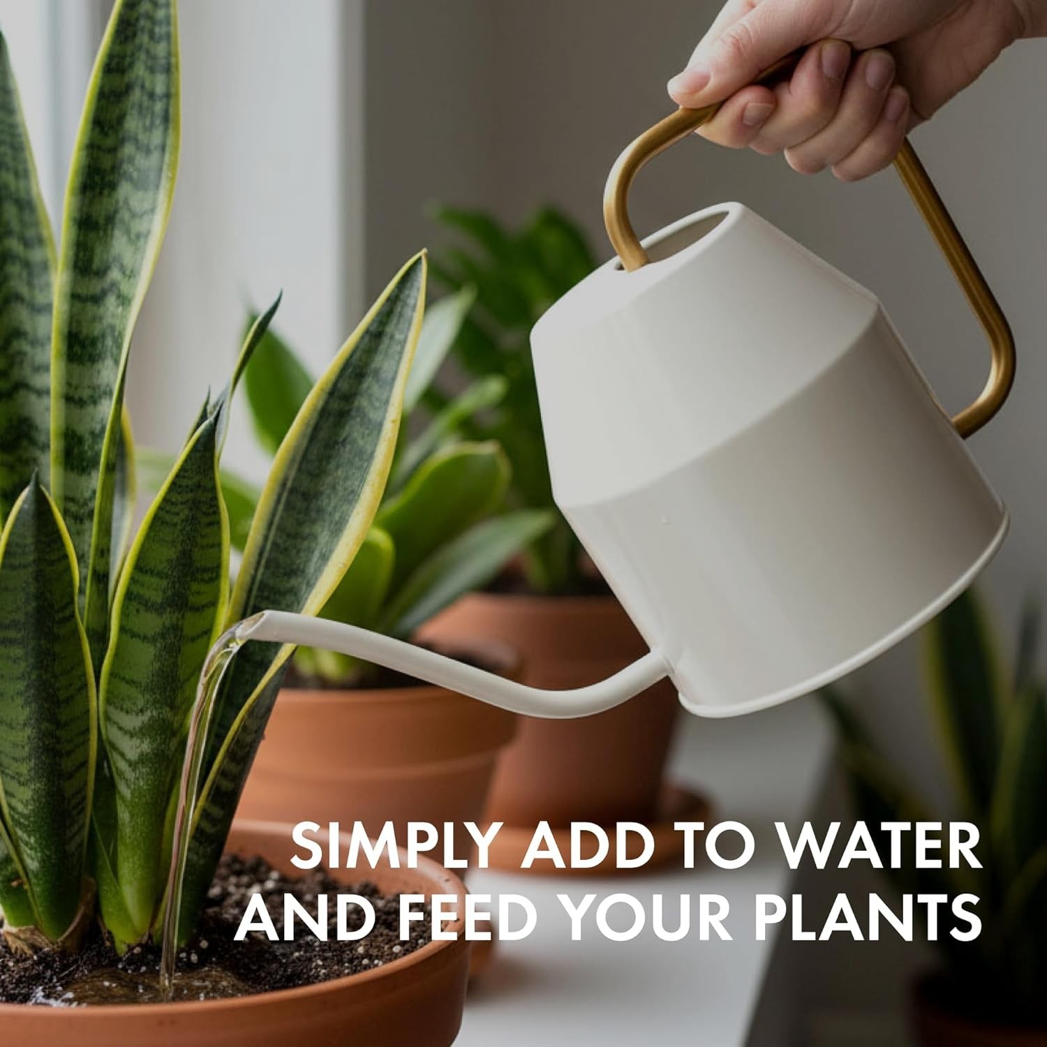 Liquid Fertilizer for Indoor Plants & Potted Houseplants – Healthy Root Support