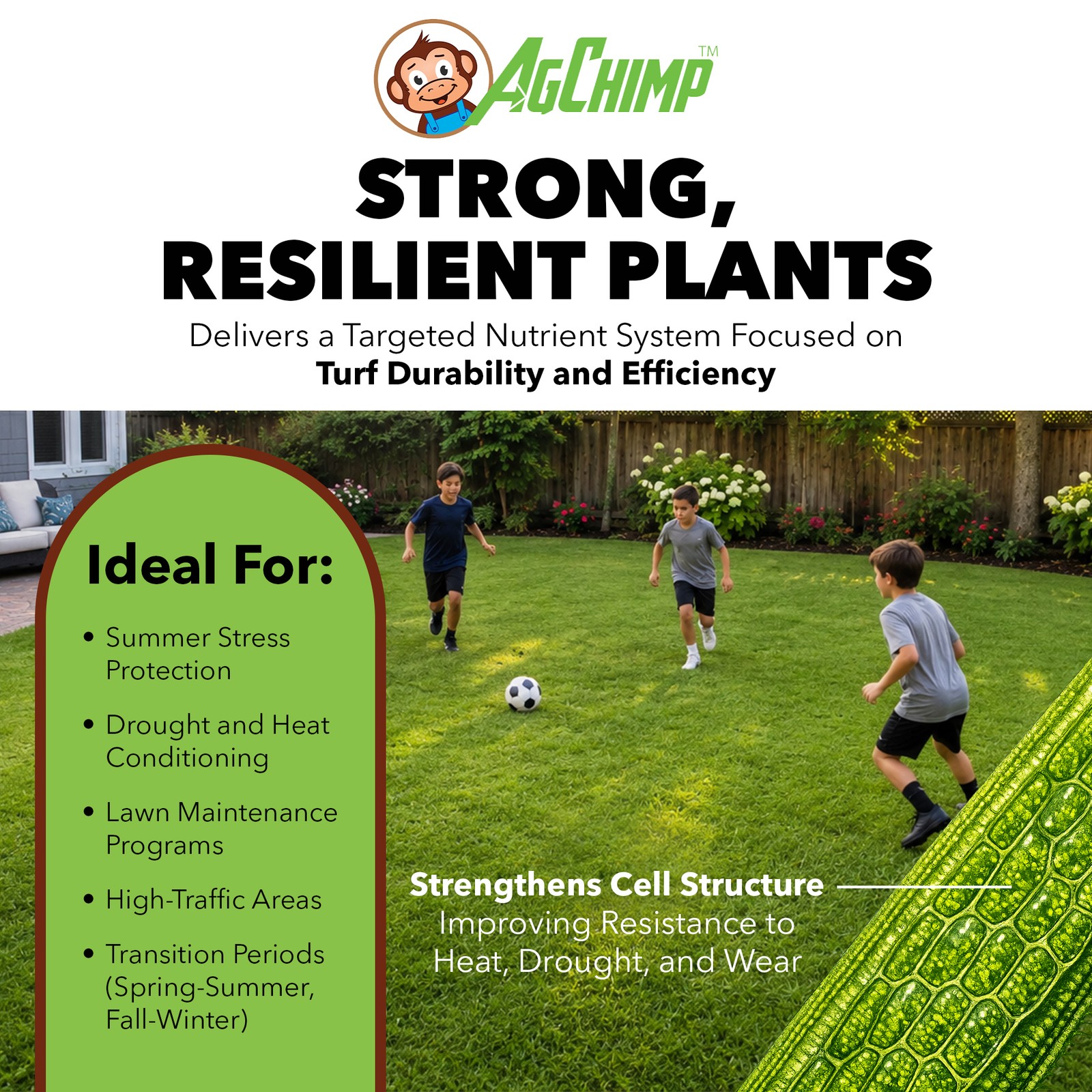 AgChimp 5-0-20 with 2% Iron Professional Turf Fertilizer, 16lbs