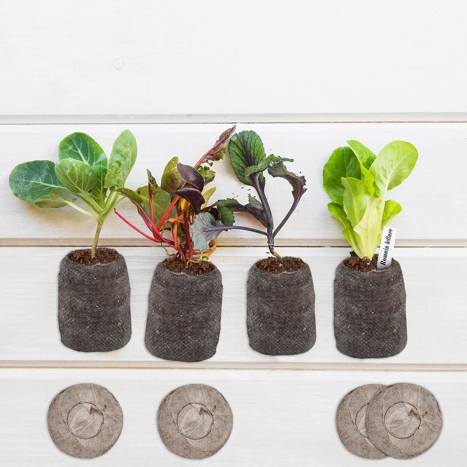 100-Pack 30mm Peat Pellets Seed Starter Pods for Germination & Transplanting