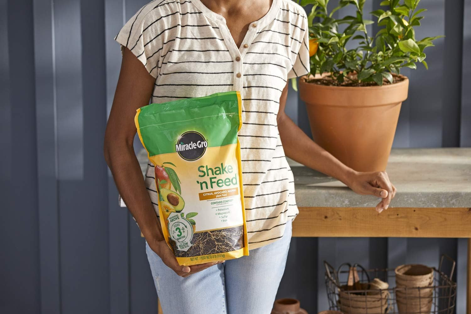 Shake ‘N Feed Citrus, Avocado and Mango Plant Food 8 Lbs.