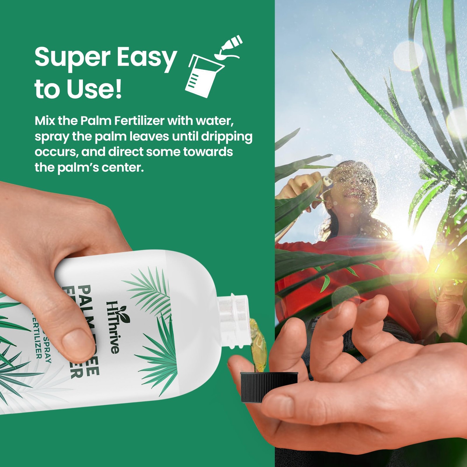 Palm Tree Fertilizer – 16oz Plant Food for Tree. Rich in 16 oz (1 Pint)