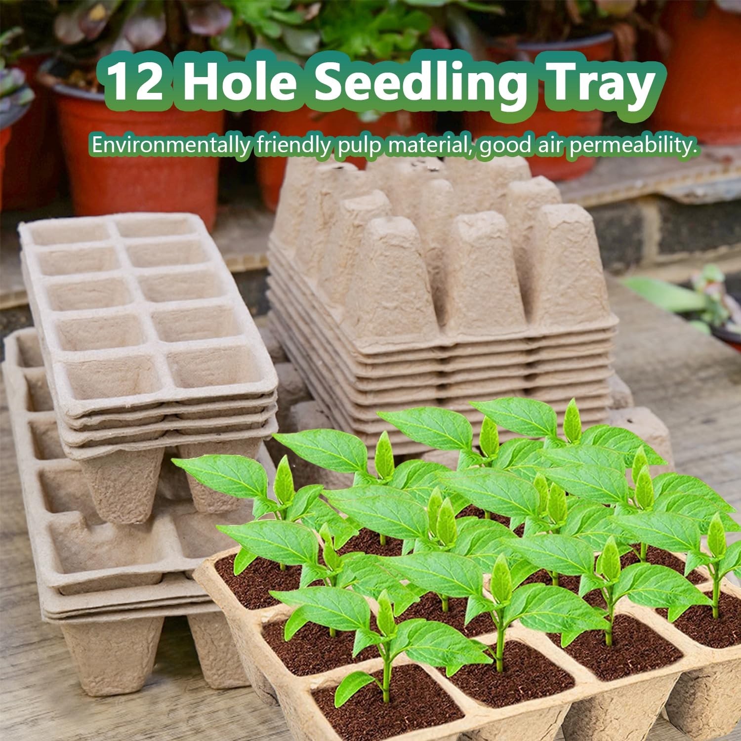 120 Cells Seed Starter Tray, 10 Pack Biodegradable Peat Pots with 100 Labels,…