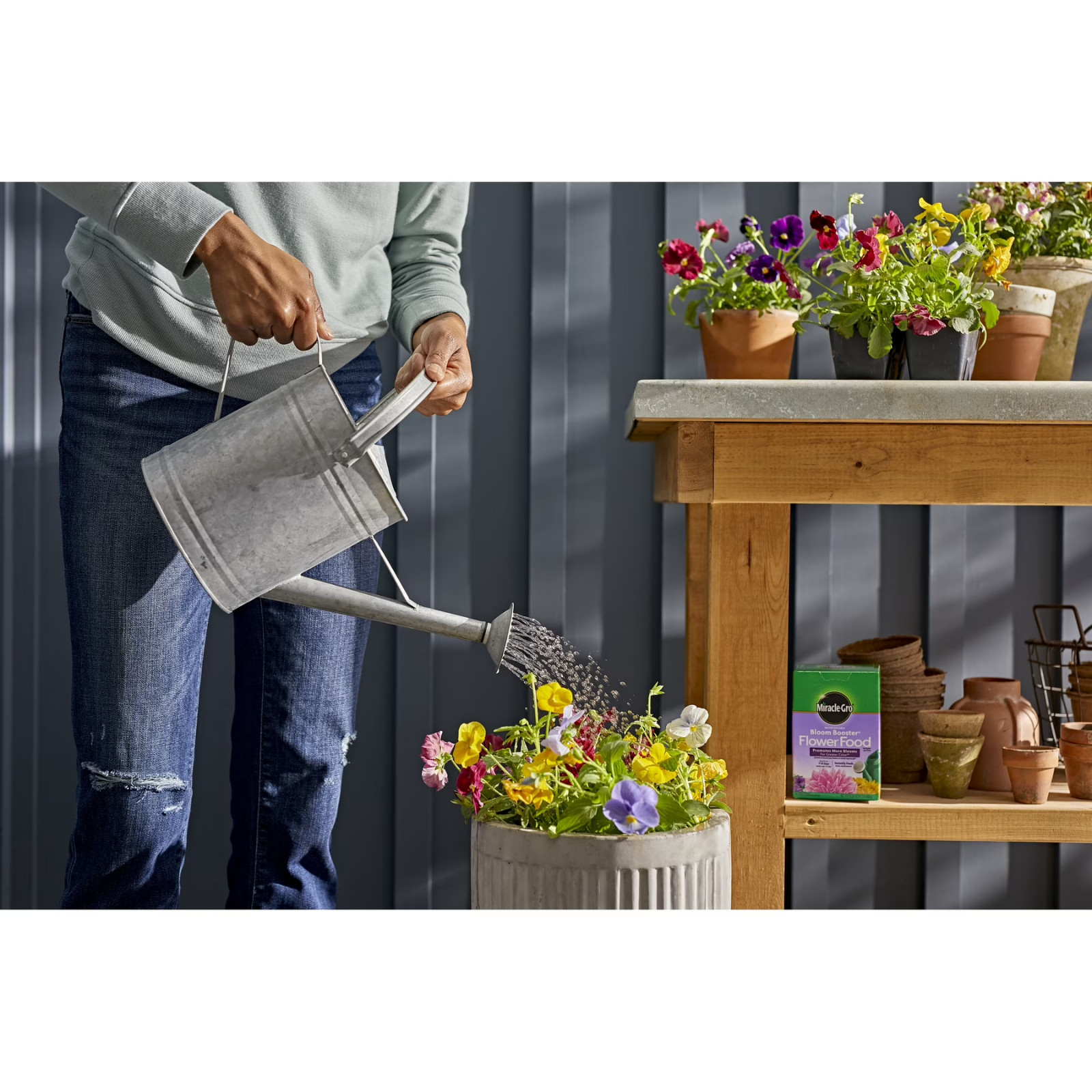 (2 Pack) Miracle-Gro Water Soluble Bloom Booster Flower Food – 1.5 lb Boxes