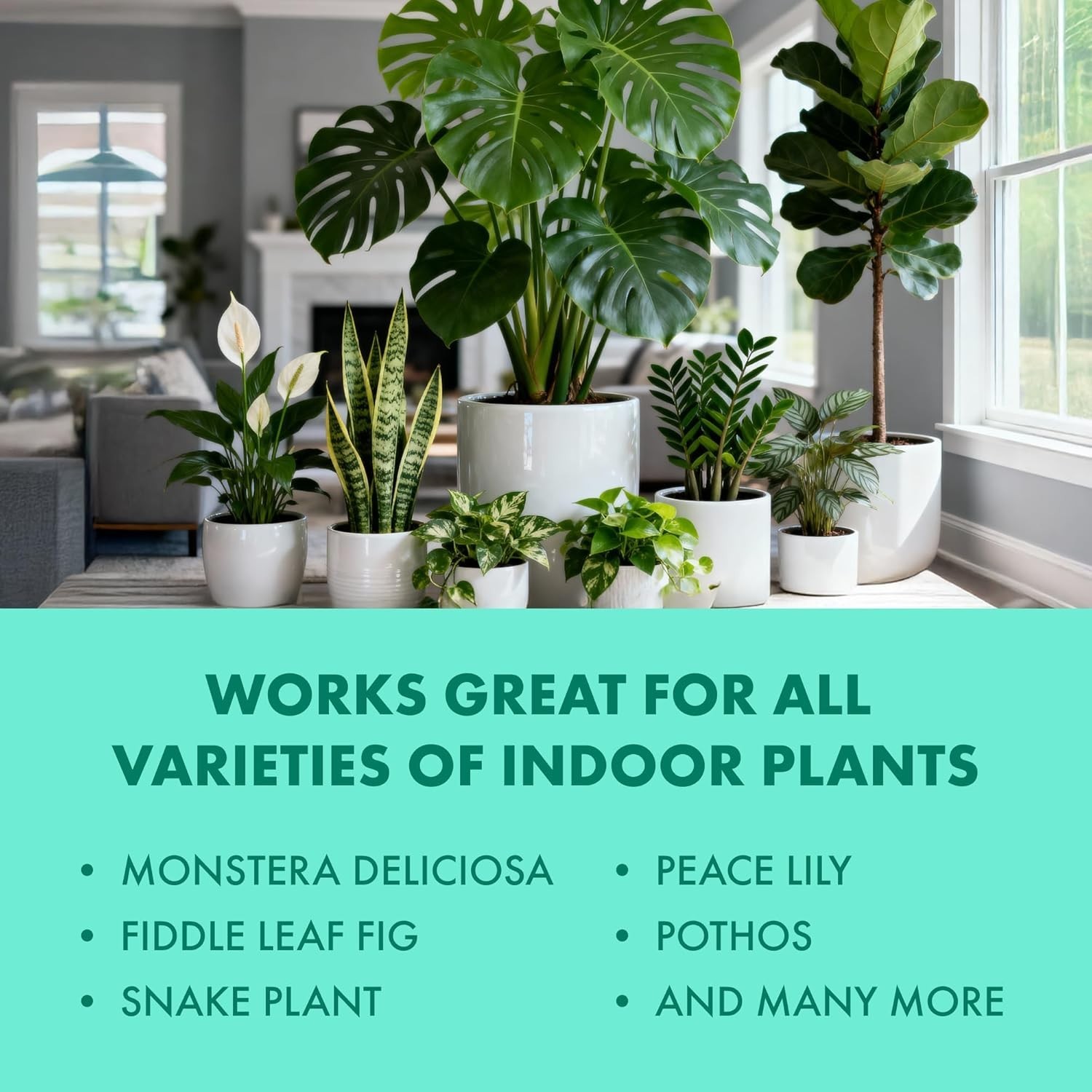 Liquid Fertilizer for Indoor Plants & Potted Houseplants – Healthy Root Support