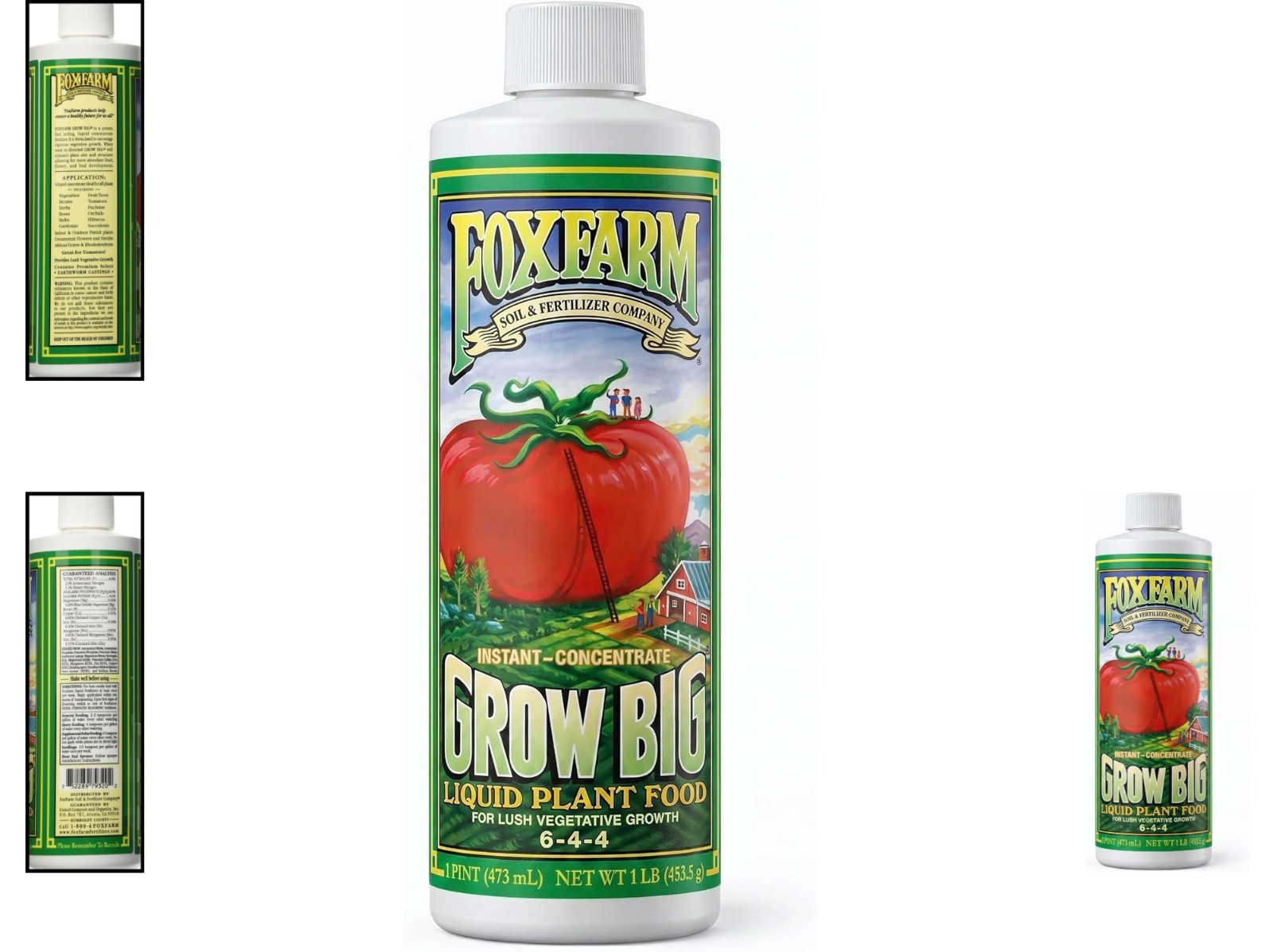 Pint-Sized Grow Big Plant Food for Vibrant Indoor & Outdoor Vegetation Growth