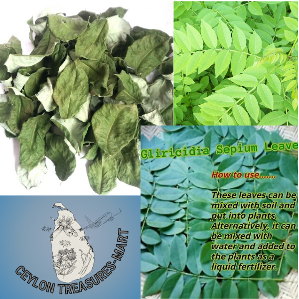 Gliricidia Sepium Leaves Dried Natural Organic Compost Fertilizer Nitrogen.