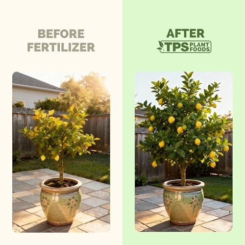 Liquid Lemon Tree Fertilizer – Boost Fruit, Enhance Flowers & Strengthen Roots,