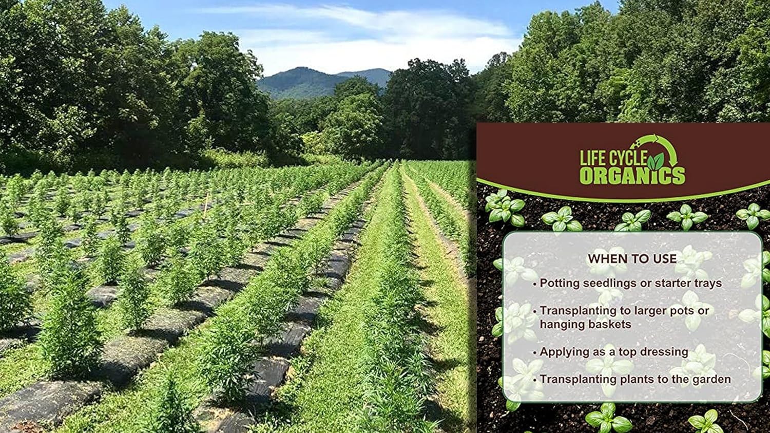 Eco-Friendly 100% Organic Worm Castings – Perfect for Vegetables & Flowers