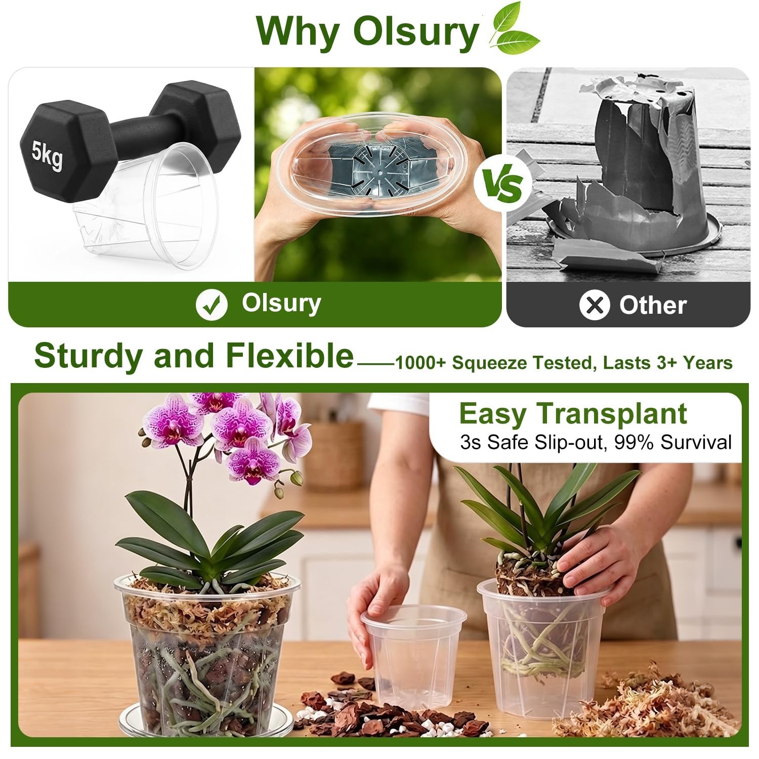 Root-Safe Clear Plant Pots for Indoor: Zero Transplant Shock for Orchids | 1K…