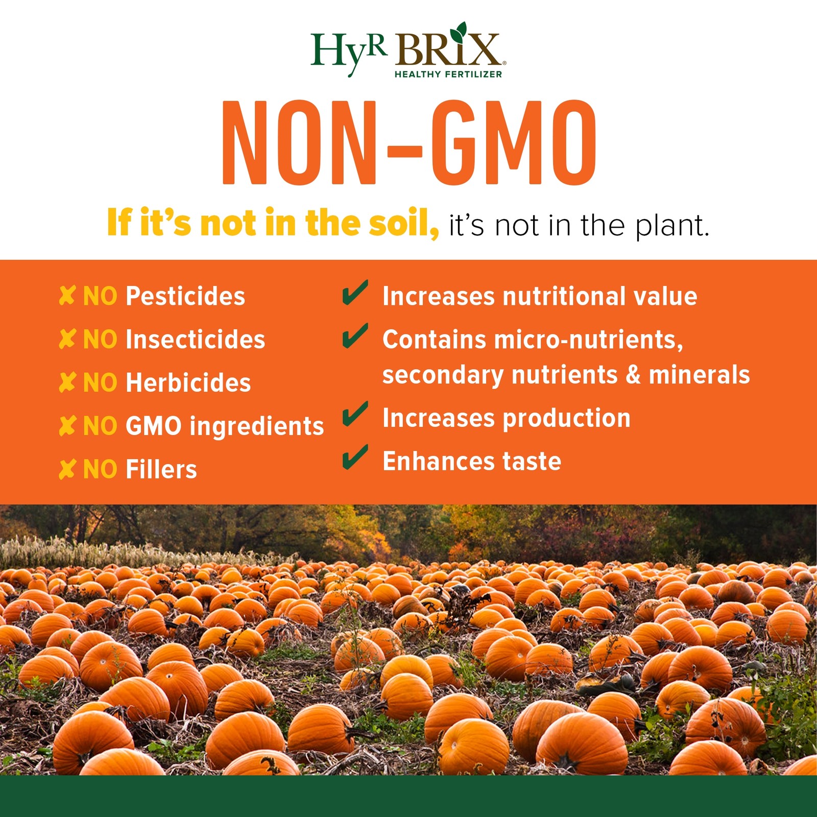 HyR BRIX 8-6-12 Pumpkin Fertilizer Plant Food, 45lb Bag (Covers 2,142 Sq Ft)