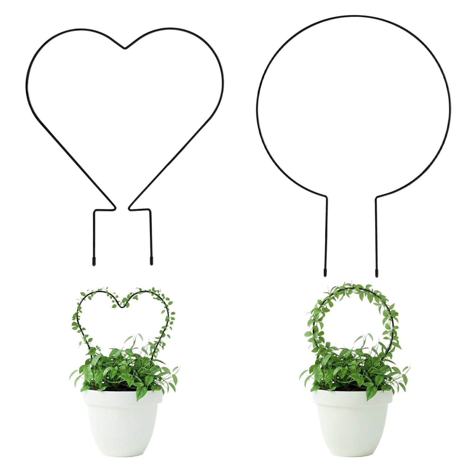 Trellis for Potted Plants, Small House Plant Support, Indoor Plant Trellis fo…