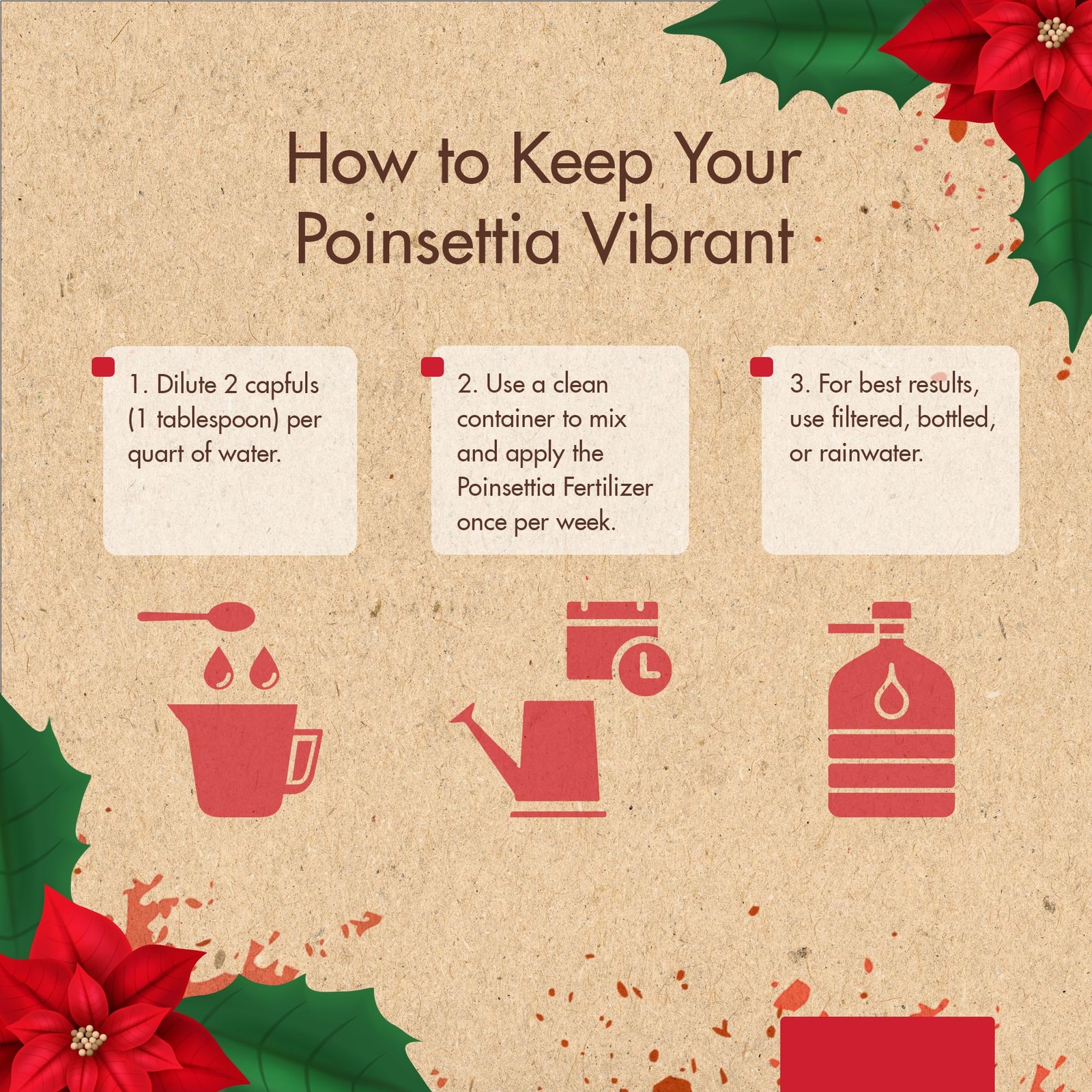 8oz Poinsettia Fertilizer – Easy to Use Poinsettia Plant Food – Keeps Your Chris