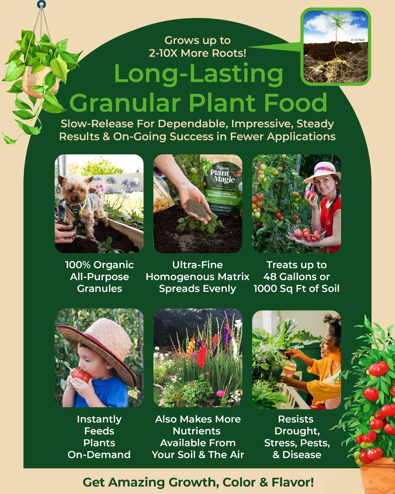 Organic Slow Release Granular Fertilizer – Long-Lasting Plant Food for Indoor &
