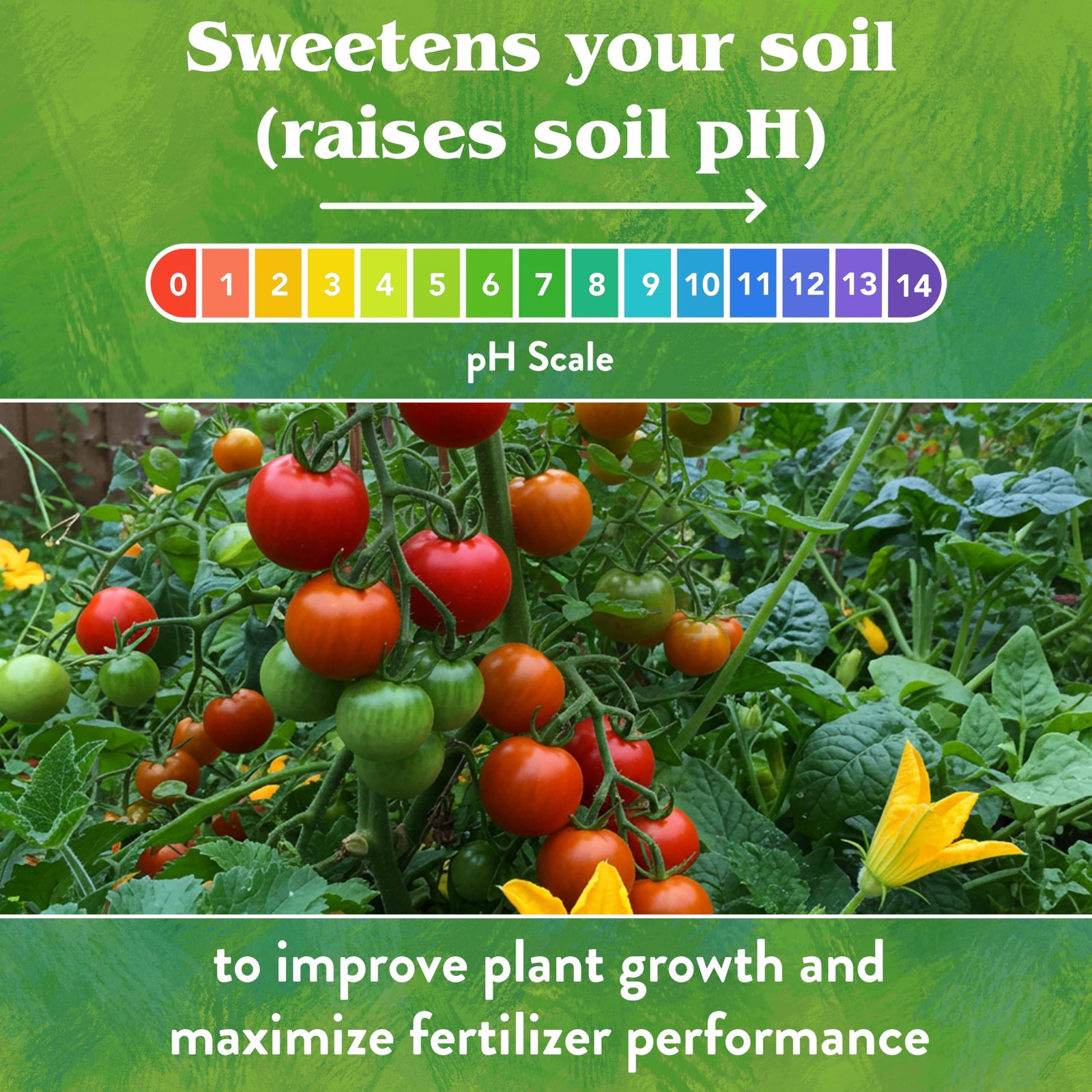 5 Lb Organic Lawn Fertilizer Raises Soil Ph Improves Nutrient Uptake And Growth