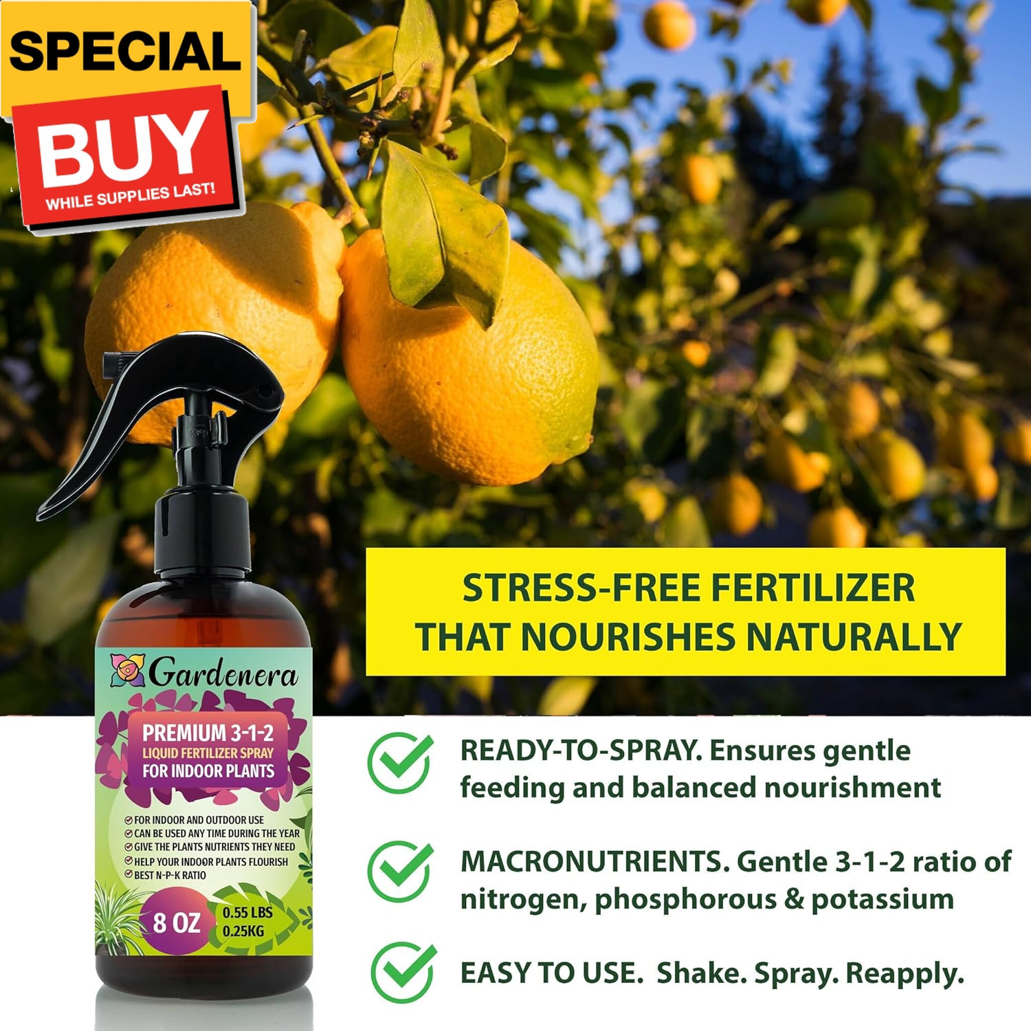 Professional Fiddle Leaf FIG Spray Fertilizer Mist for Home Gardening | 3-1-2 Ge