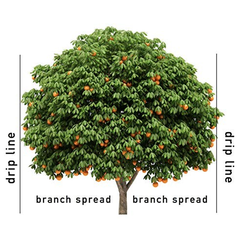 Jobe’s 01312 1312 Fertilizer, 9 Spikes