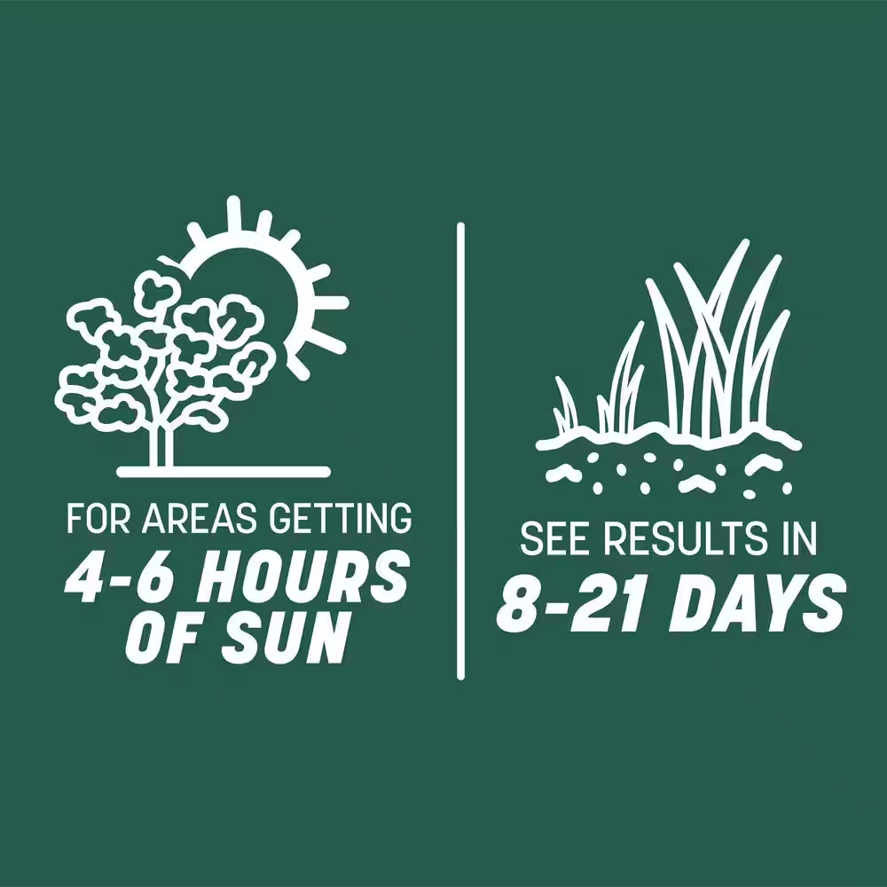 Smart Seed Sun and Shade North 3 Lb. 750 Sq. Ft. Grass Seed and Lawn Fertilizer