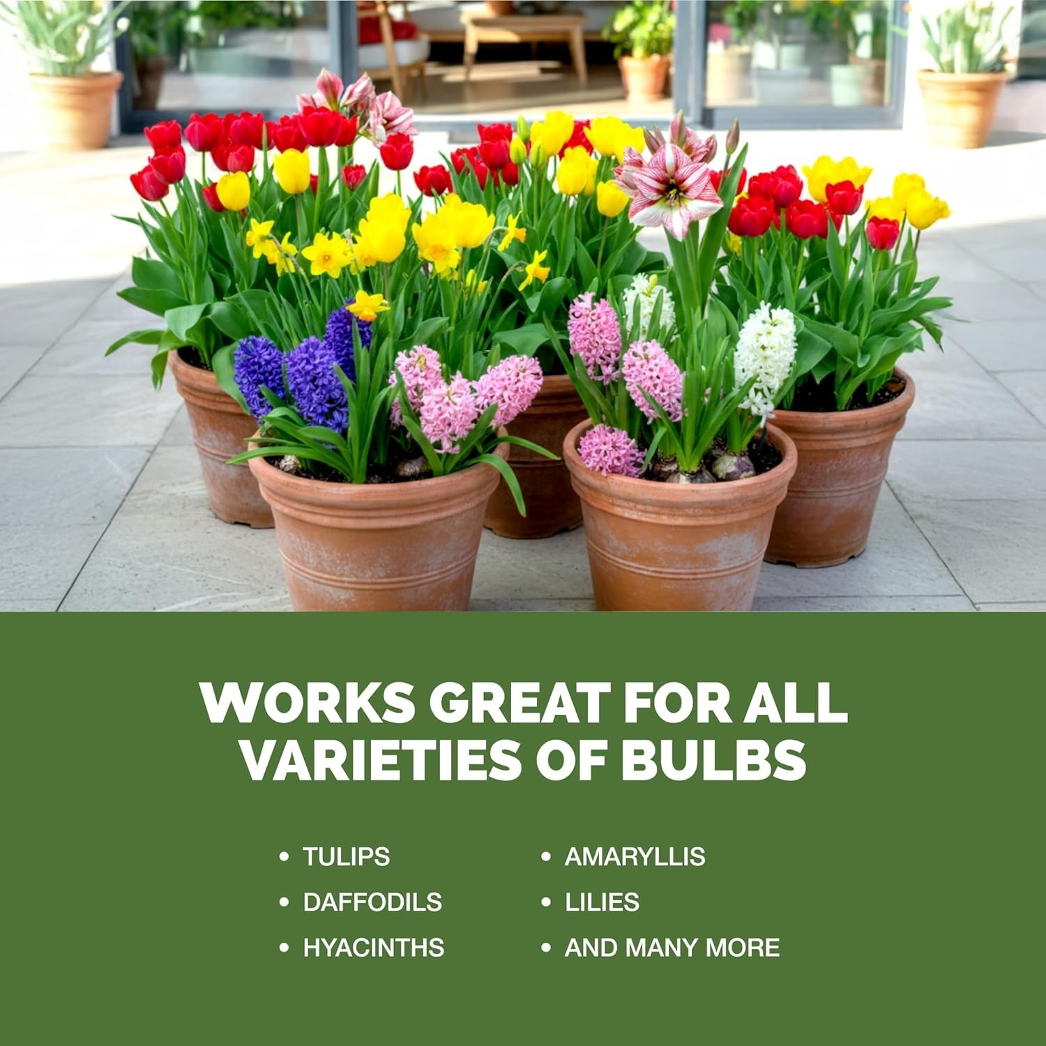 Liquid Bulb Fertilizer for Strong Roots & Vibrant Blooms – 8 oz