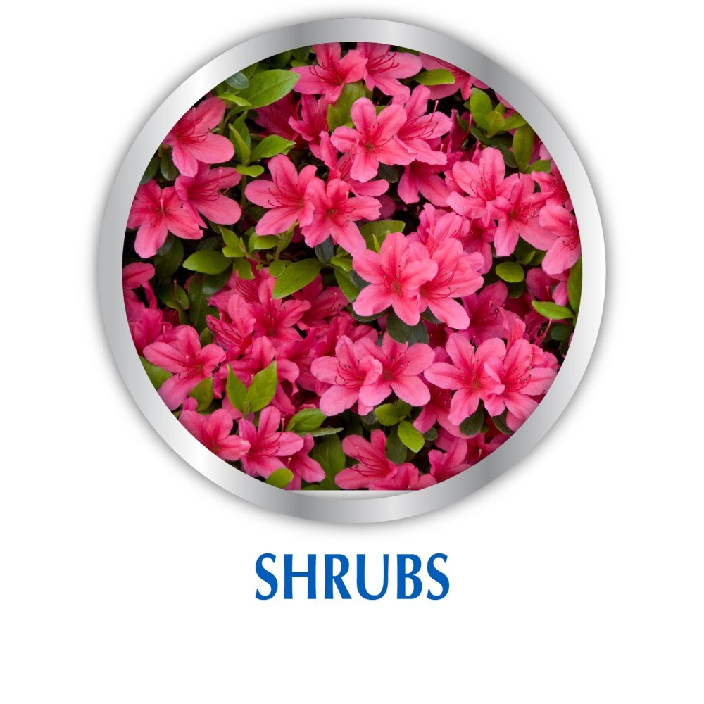 Fish Emulsion Plant Food, 5-1-1 Fertilizer