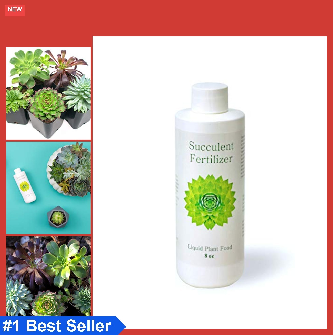 Succulent Fertilizer Liquid Plant Food 8 oz 3-1-2 NPK for Cactus Echeveria Aloe