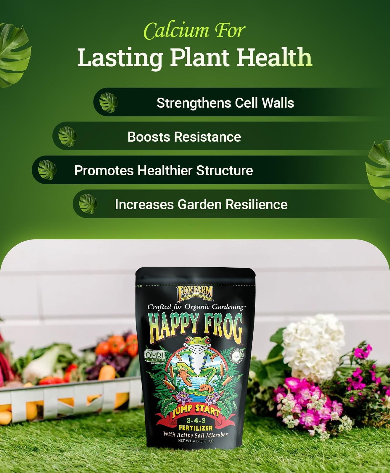 FoxFarm Happy Frog Jump Start Fertilizer, Seedling Fertilizer for Essential N…