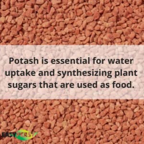 Enhance Your Garden with 5lbs of All-Natural Potassium Granular Fertilizer