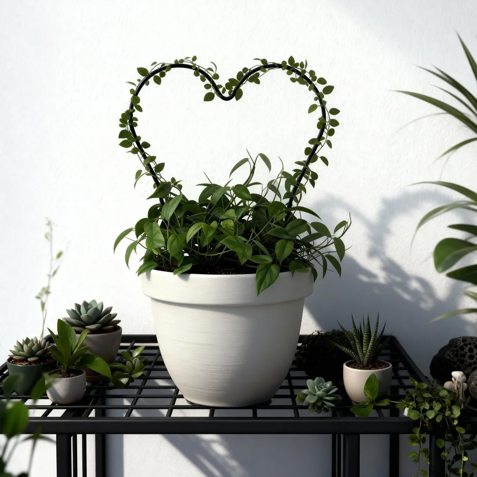 Trellis for Potted Plants, Small House Plant Support, Indoor Plant Trellis fo…