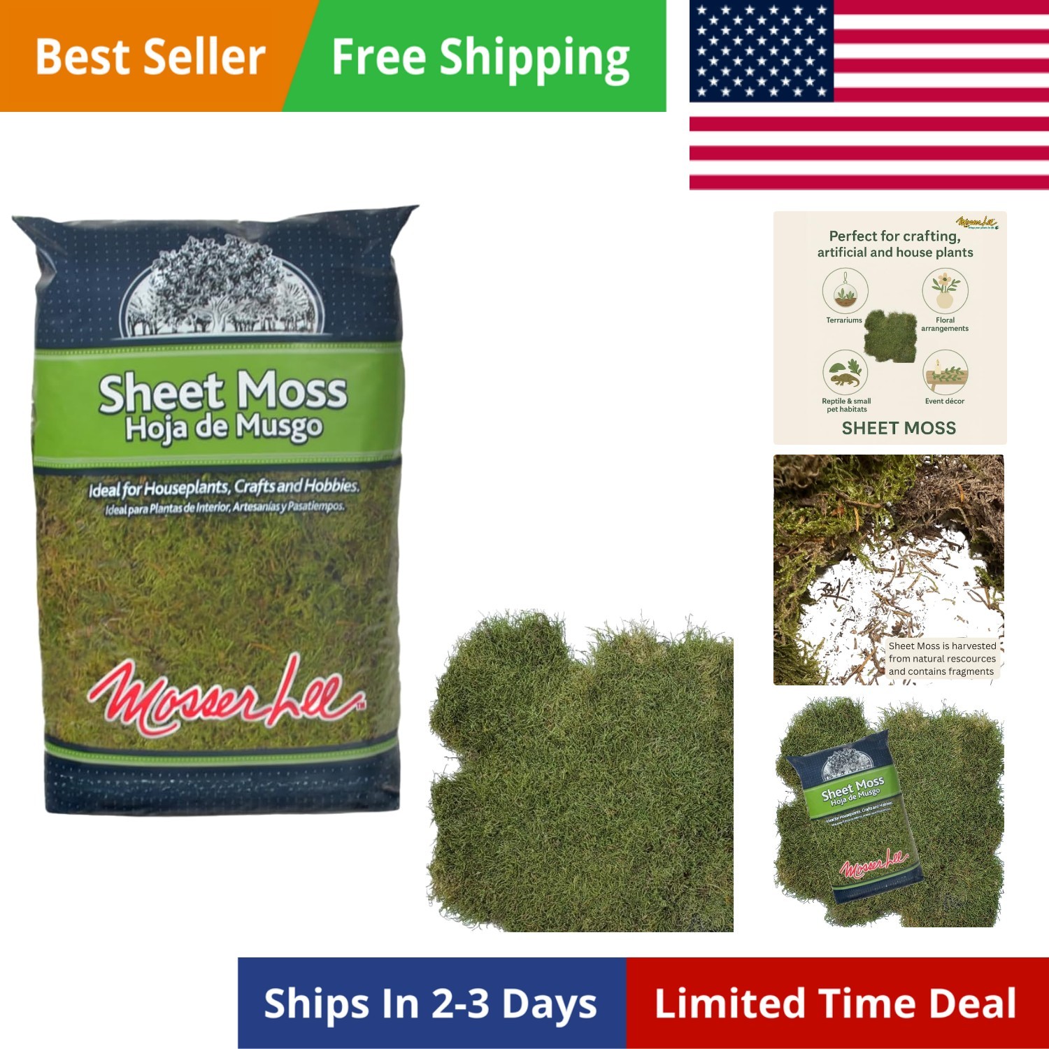 ML0480 Natural Green Sheet Moss – 520 sq. in. – Organic Decorative Moss for T…
