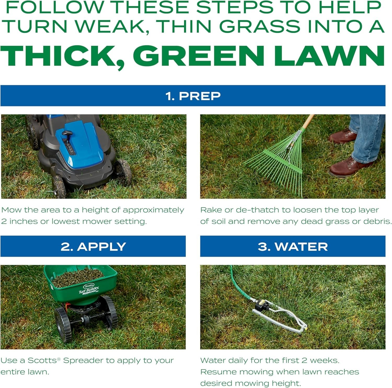 Revitalize Your Lawn with Turf Builder Thick’R Sun & Shade, 12 lb for 1200 sq ft