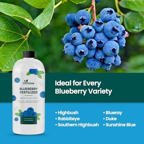 16oz Blueberry Fertilizer – Liquid Plant Food for Sweet, Plump Berries
