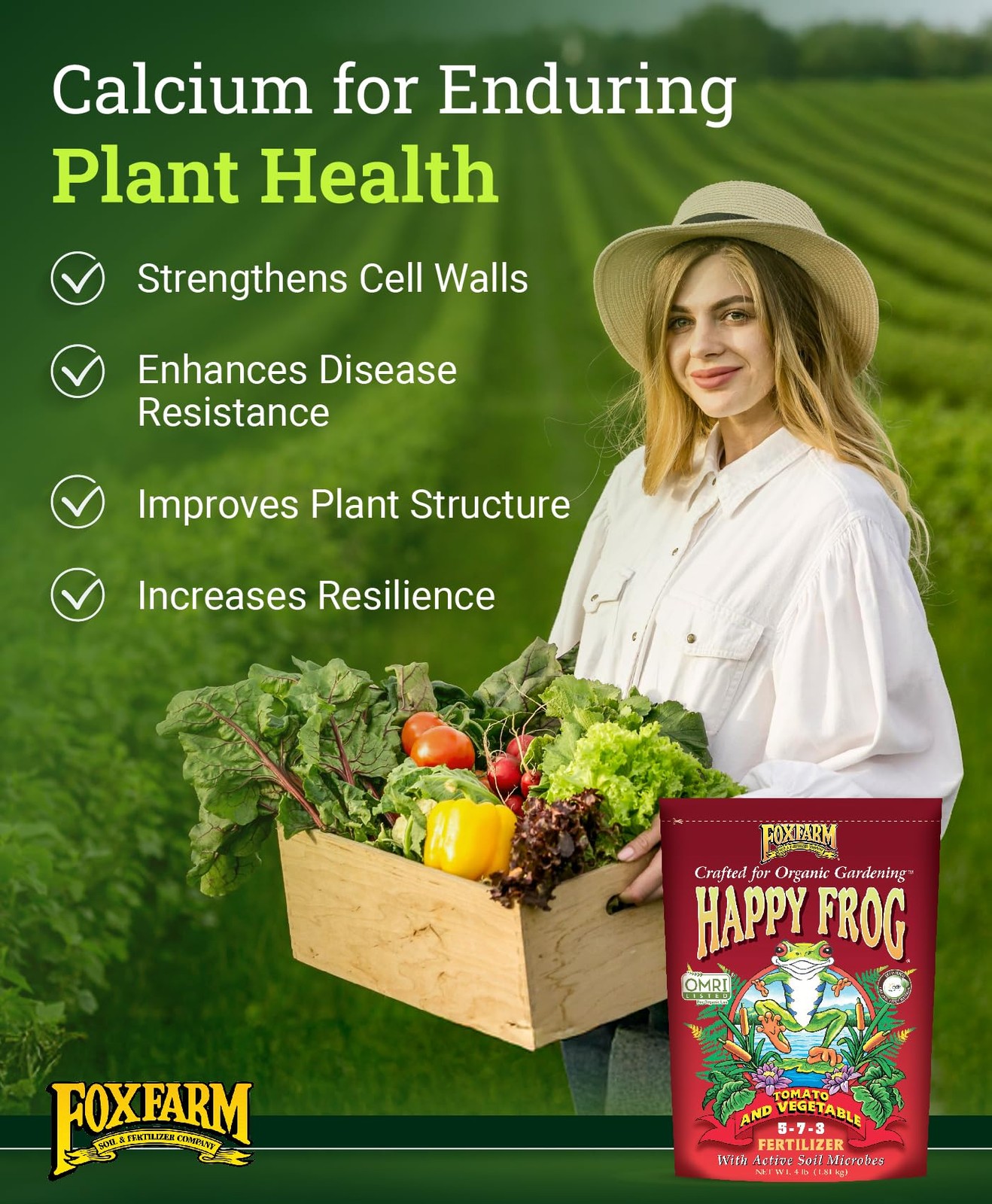 FoxFarm Happy Frog Garden Tomato and Vegetable Soil Dry Plant Fertilizer Mix