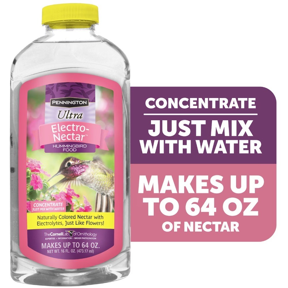 Ready-to-Use Liquid Hummingbird Electrolyte Food 16 fl oz Bottle