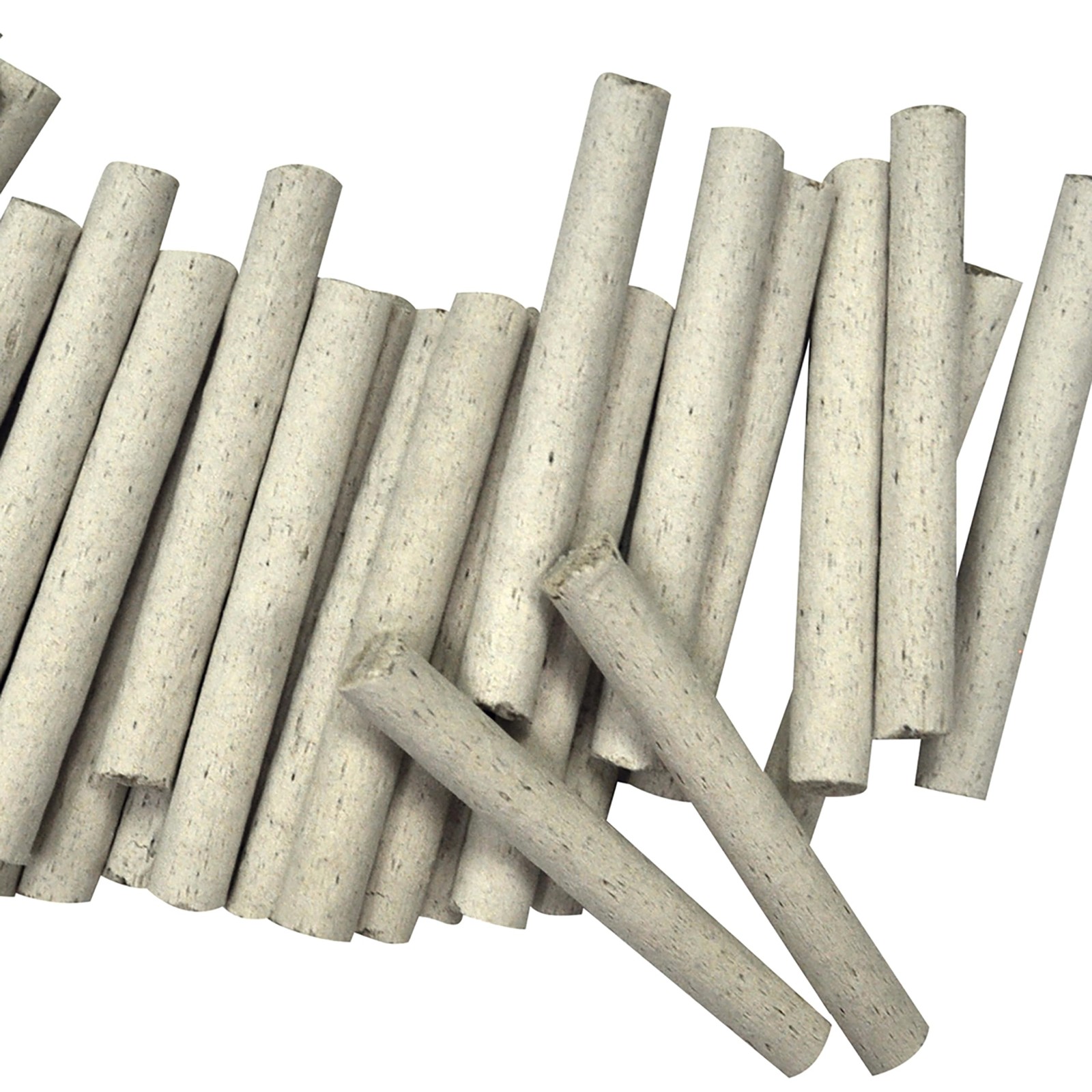 Jobe’s Plant Food Fertilizer Spikes, Easy Plant Care for All Ferns and Palm P…