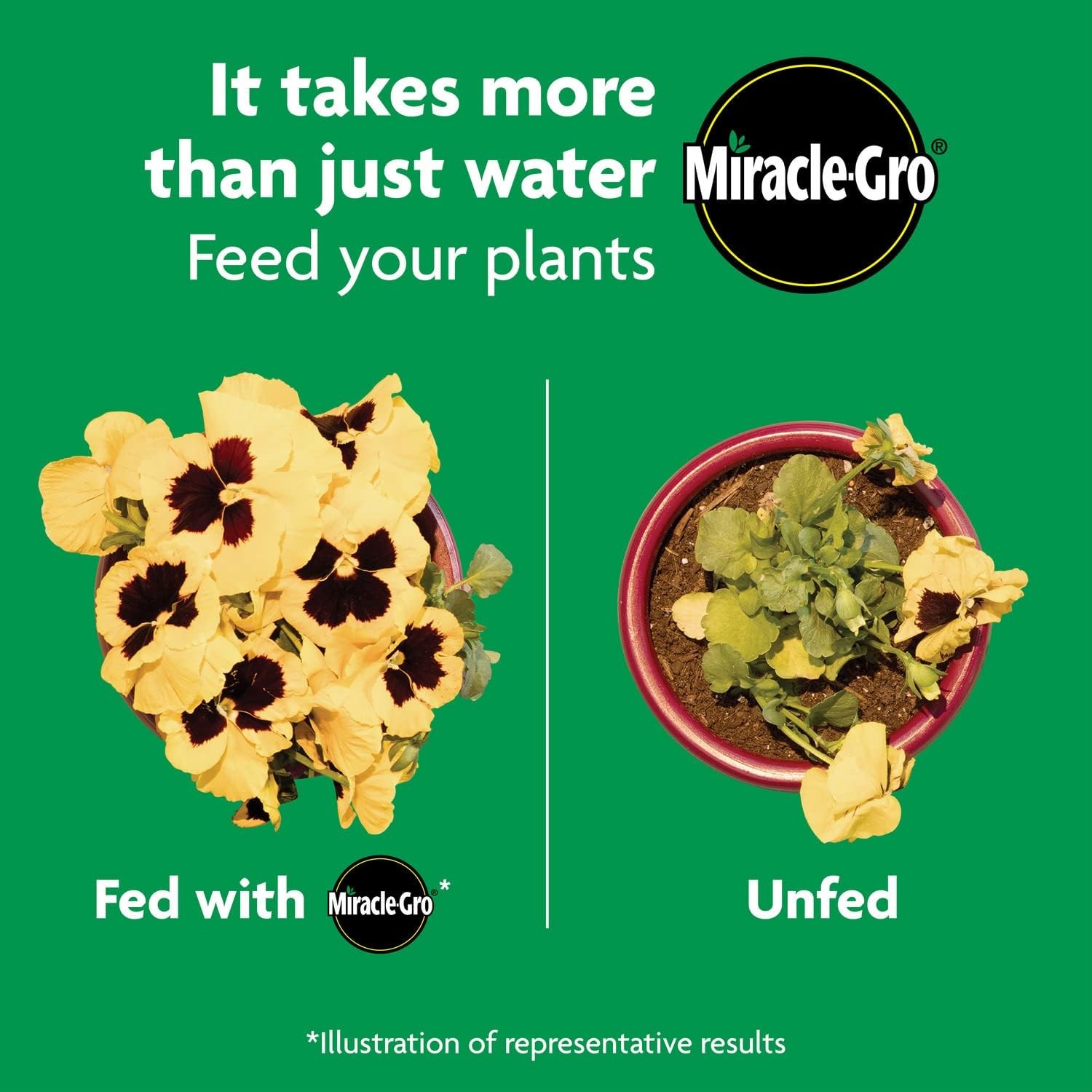 Miracle-Gro Shake ‘N Feed All Purpose Plant Food – Outdoor and Indoor Plant Food