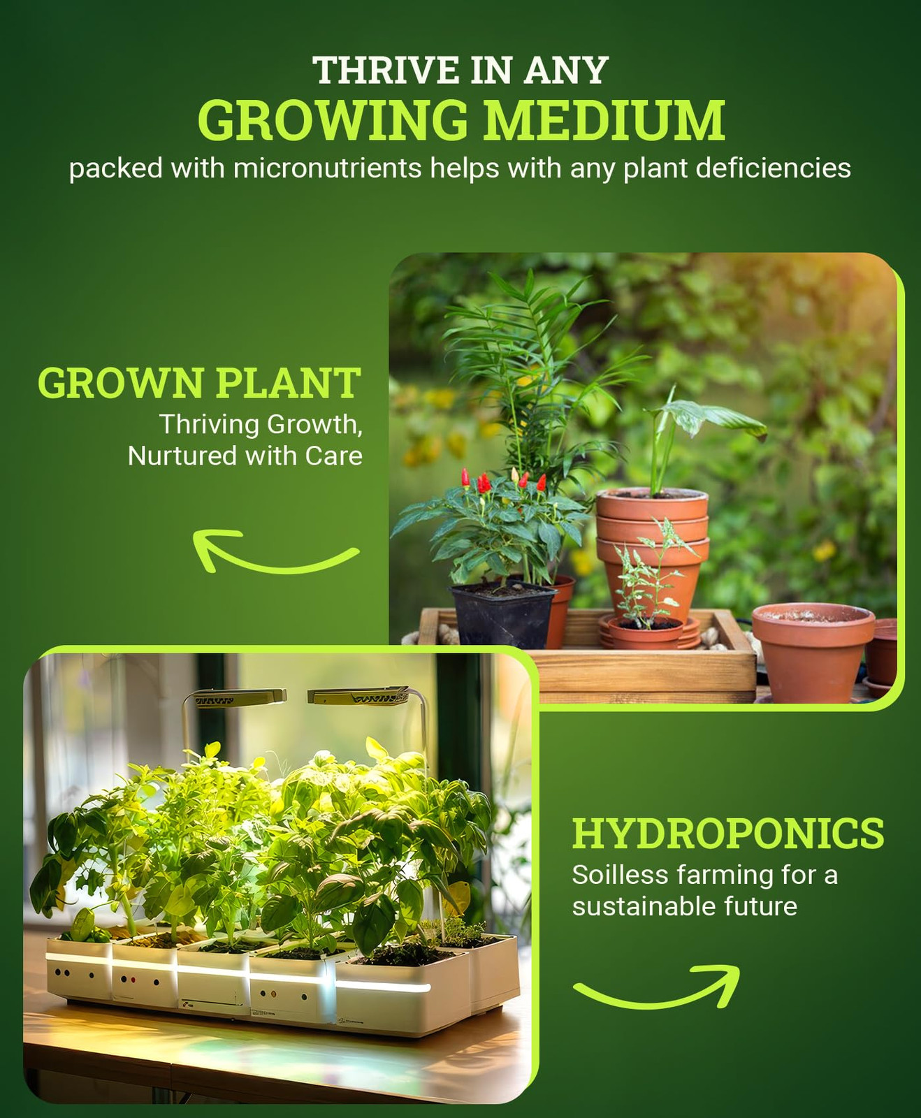 Bushdoctor Boomerang Fertilizer 1 Pint Root Booster for Stressed Plants