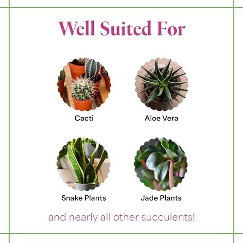 Succulent Fertilizer 1-7-6 NPK 16oz Cactus Food Calcium Enriched for Growth