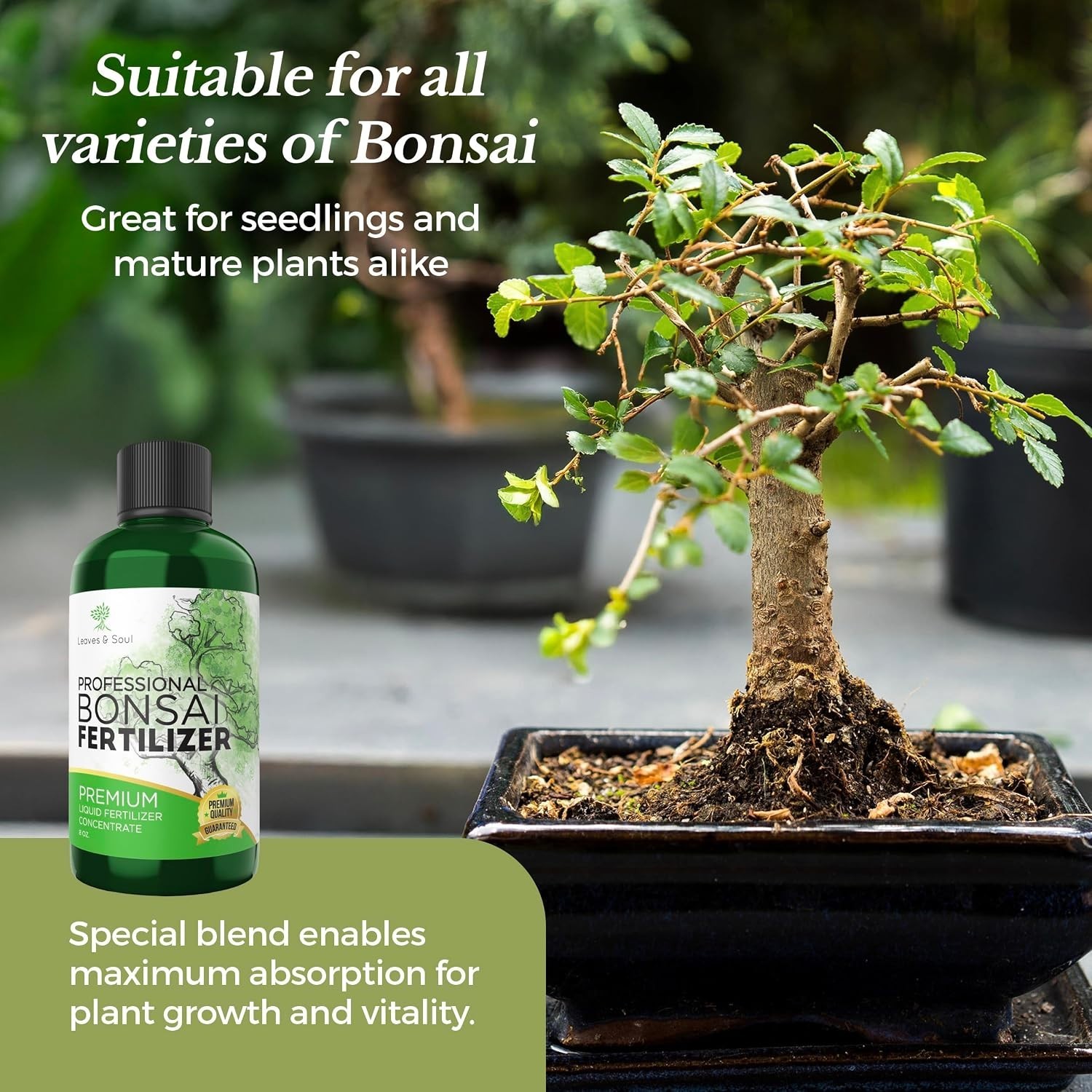 Liquid Bonsai Fertilizer 3-1-2 – 8 oz for Strong Roots & Vibrant Growth