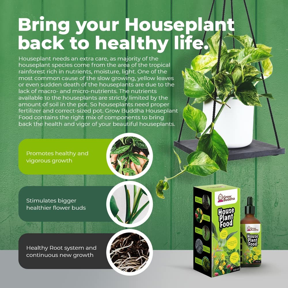 Houseplant Food Fertiliser– Liquid Concentrated Fertiliser for Healthy