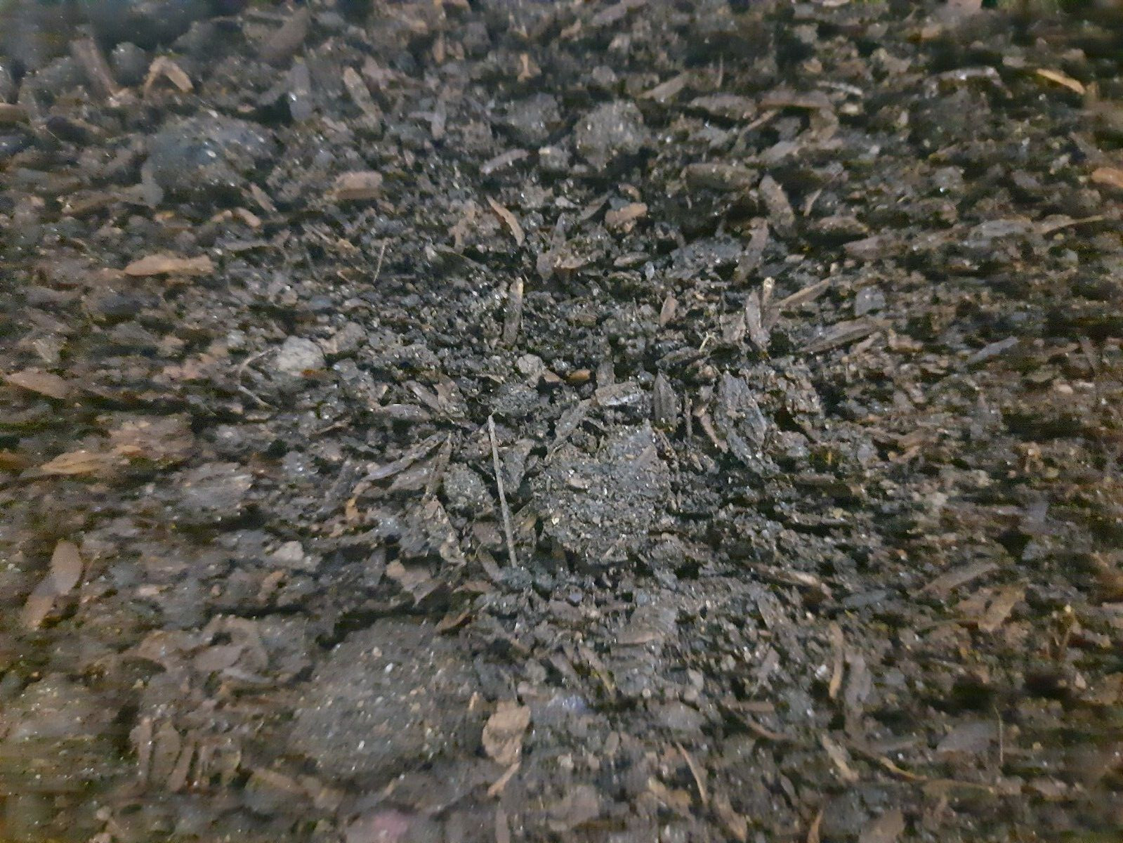 Compost Organic Dried mixing fertilizer Cow, Goat Dung and Chicken Manure 175g