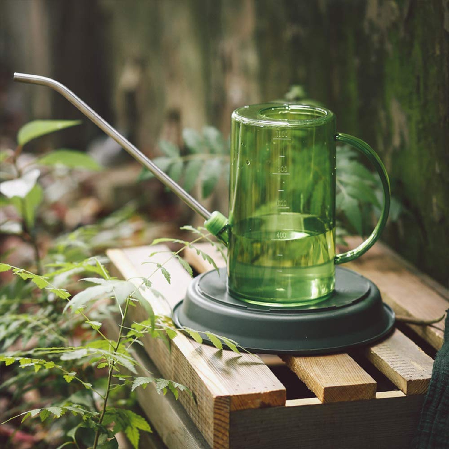 Watering Can Indoor, Small Watering Cans for House Plants, Succulen… Fast Ship