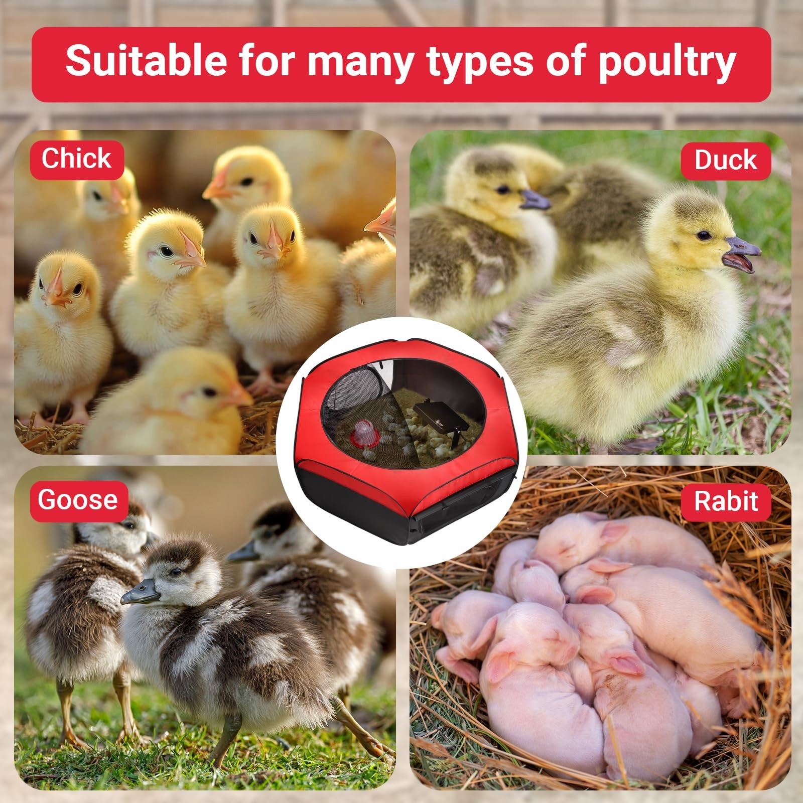 FAMIROSA Brooder Box for Chicks Starter Kit, Pop up and Breathable Chicken Br…