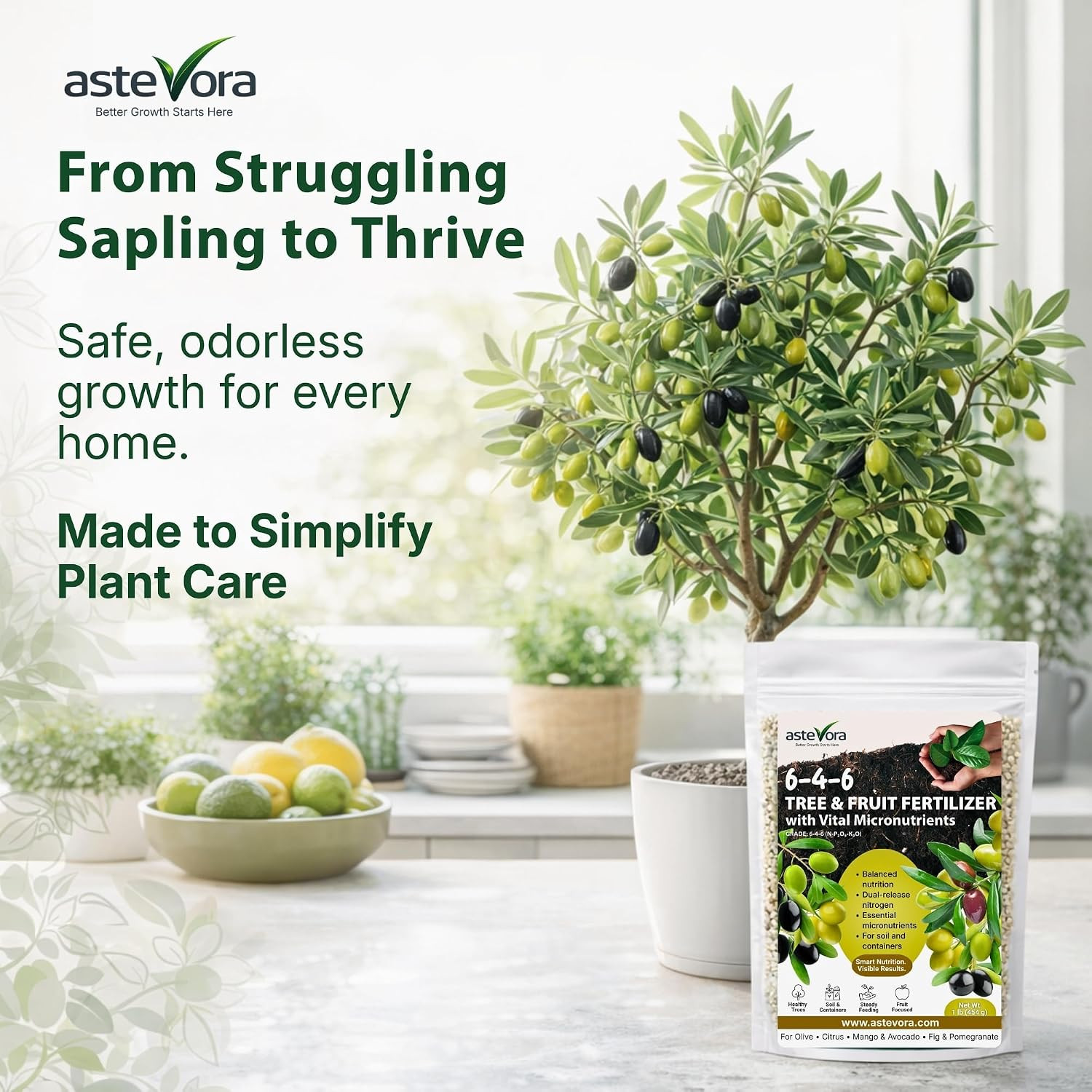 Olive Tree Fertilizer – Fruit Tree Fertilizer for Olive Tree, Citrus, Lemon, Lim
