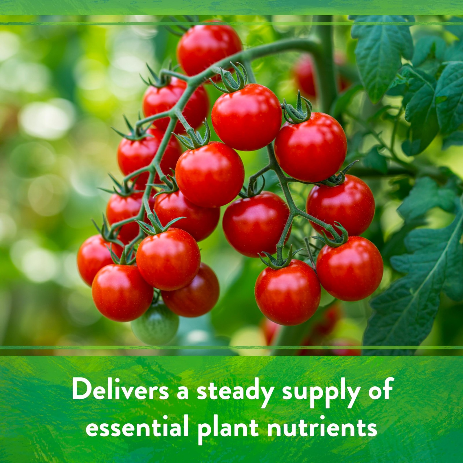 Down To Earth All Natural Fertilizers Organic Purpose Tomato & Vegetable Mix –