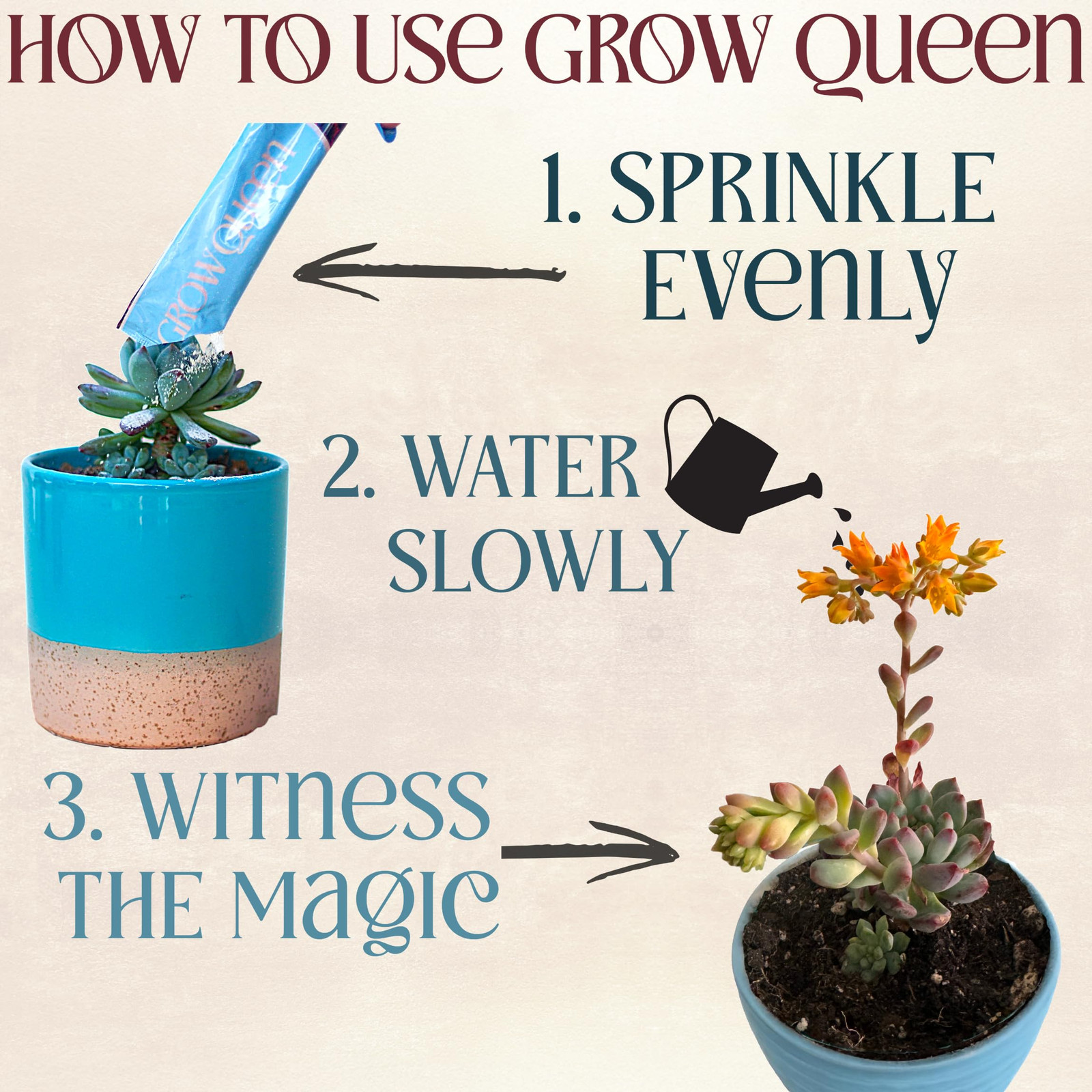Complete Organic Cactus & Succulent Fertilizer, Succulent Plant Food & Cactus…