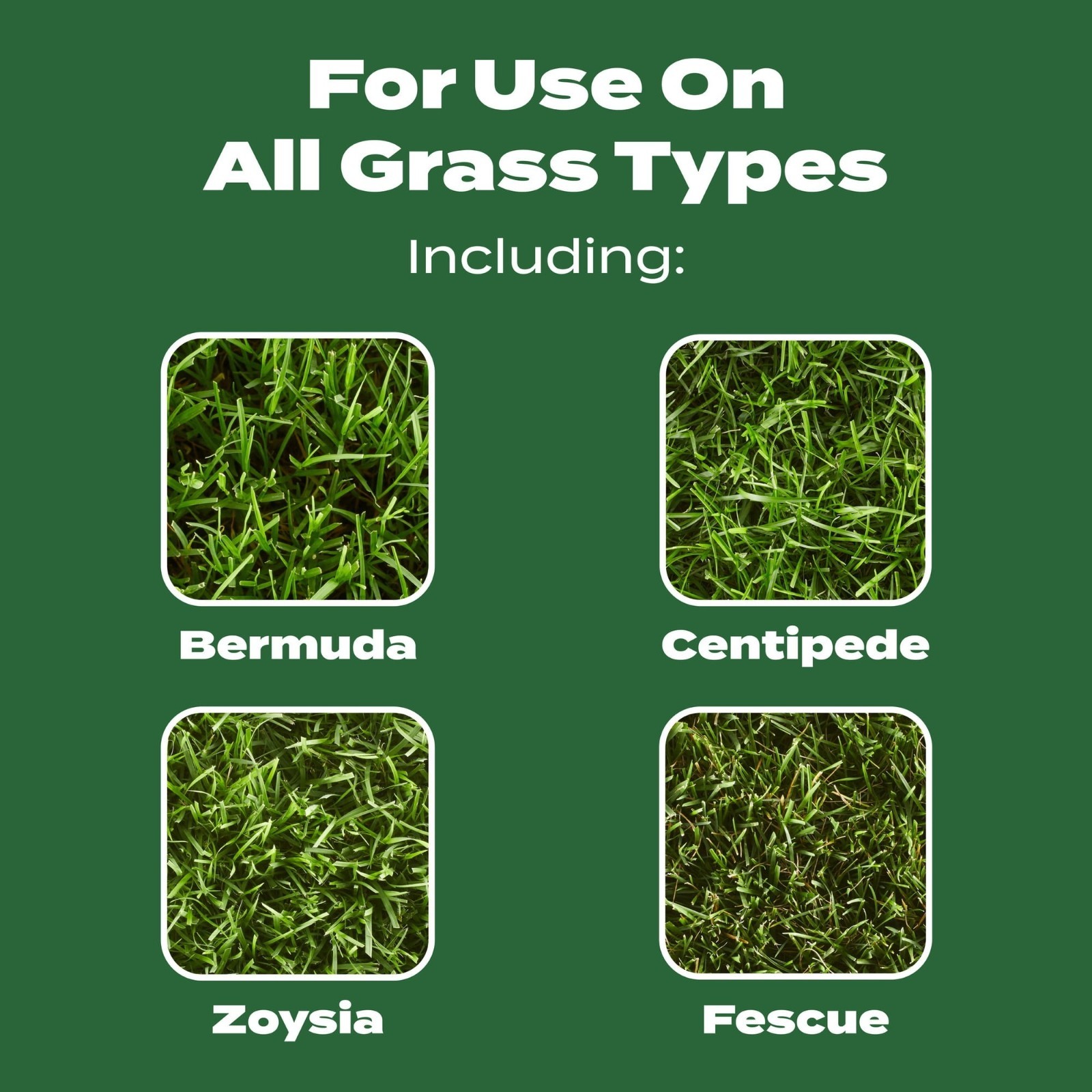 Scotts Turf Builder Lawn Fertilizer 37.5 lb Covers 15,000 Sq Ft FREESHIP