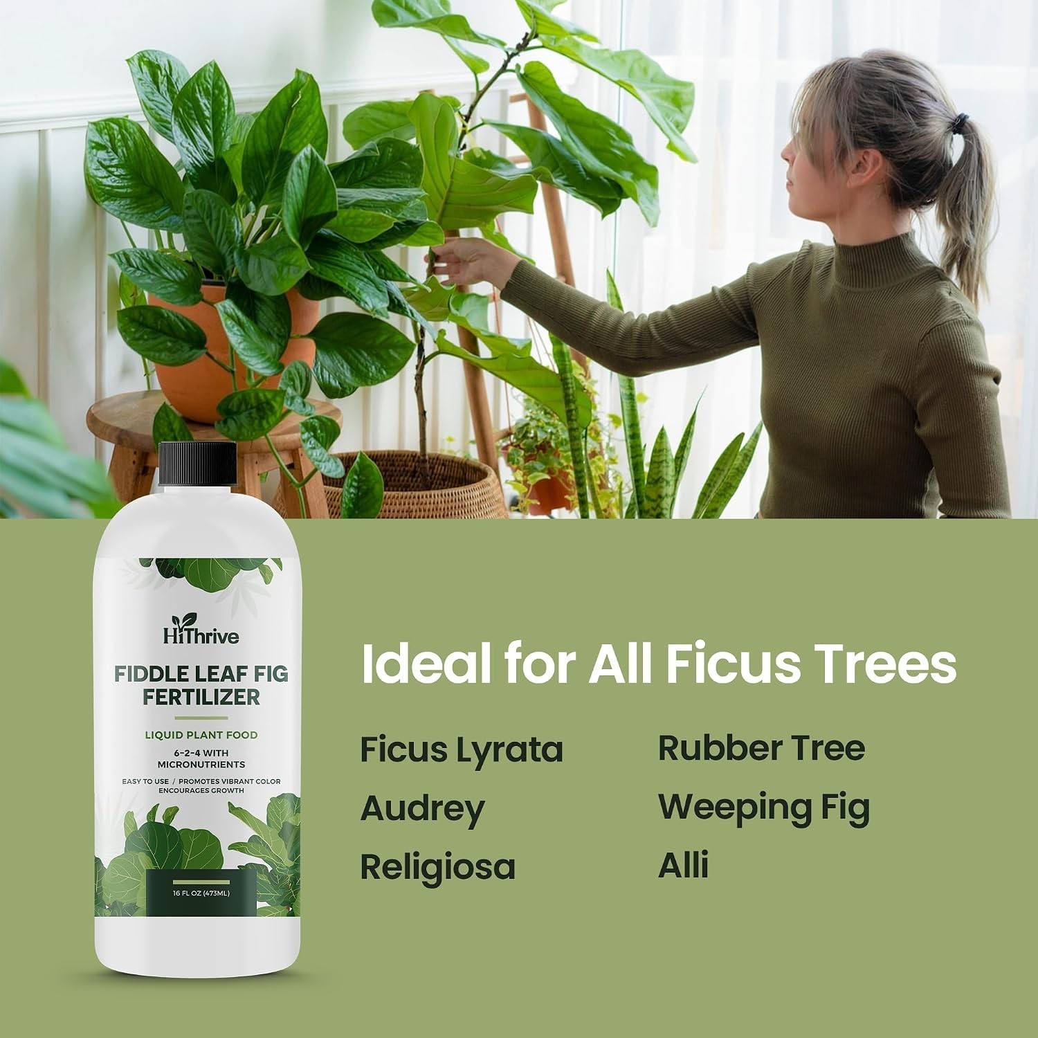 16Oz Fiddle Leaf Fig Plant Food – Makes 96 Gallons of Fertilizer, Liquid Housepl