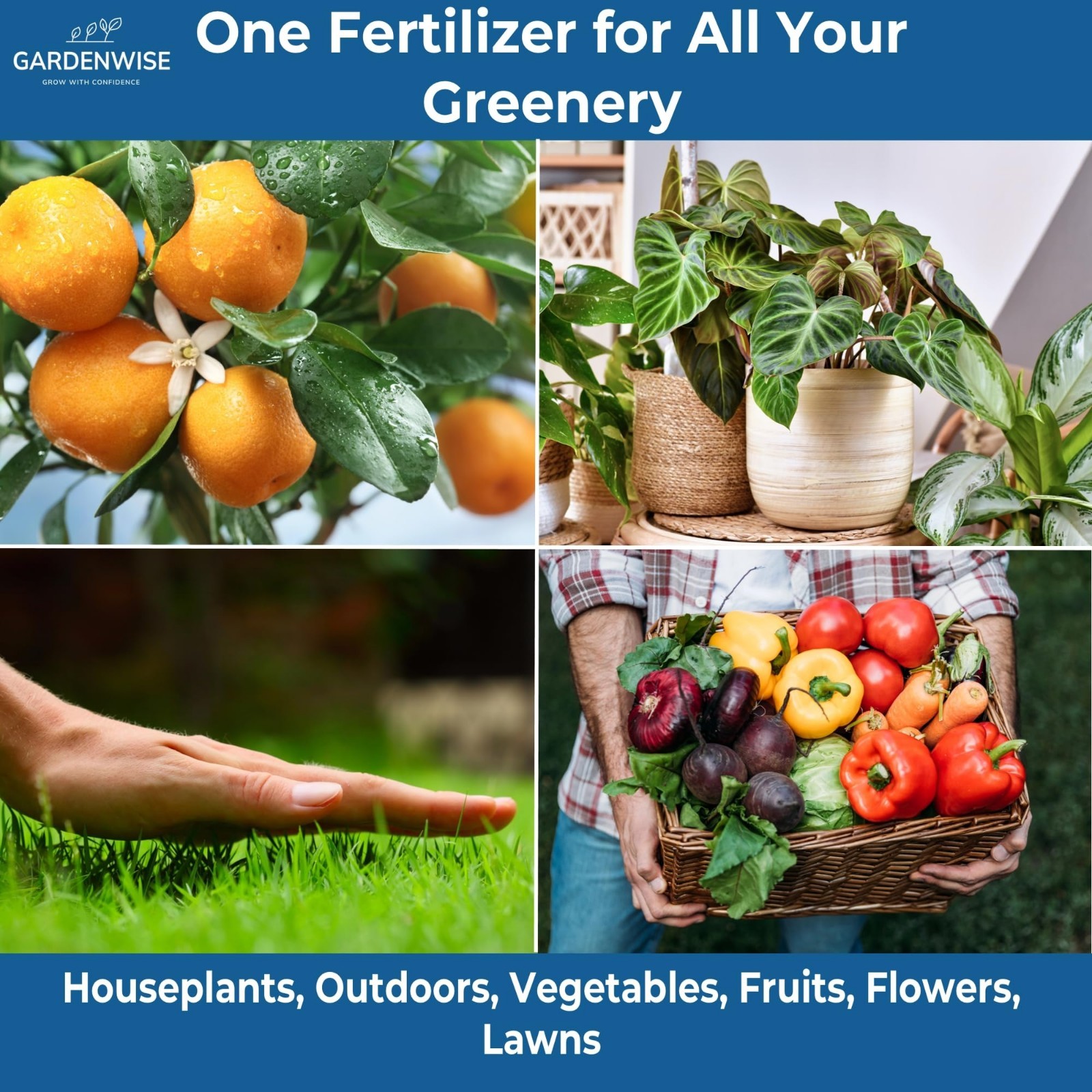Water-Soluble 20-20-20 Fertilizer Powder for Indoor/Outdoor Plants, 2 Quarts